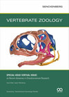 Vertebrate Zoology杂志封面